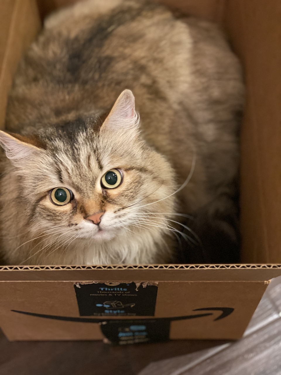 Usługi transportowe w stolicy – przewodnik po efektywnych rozwiązaniach