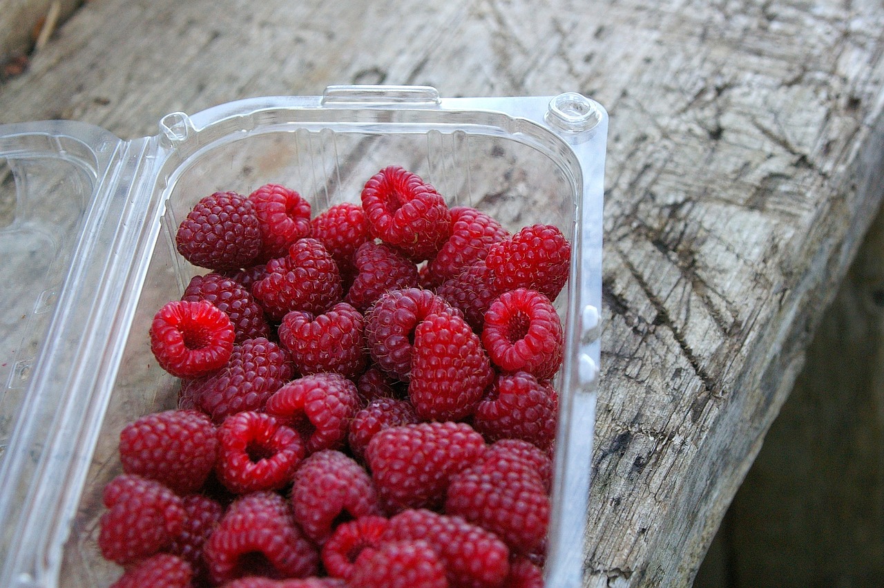 Tendencje w produkcji ekologicznych opakowań